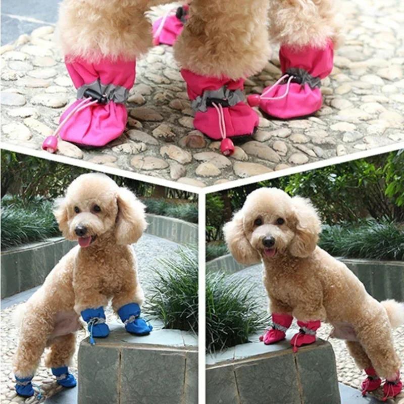 Sepatu Anjing Anti Air 4pcs Ba - Shoe Polish Cream ulasan dan harga